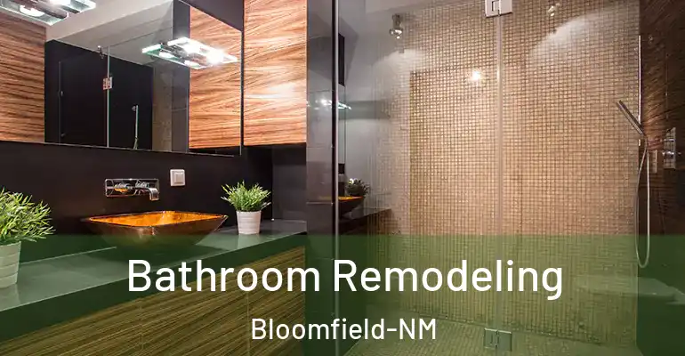 inner Bathroom imggen Bathroom Remodeling Bloomfield-NM