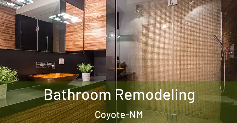 inner Bathroom imggen Bathroom Remodeling Coyote-NM