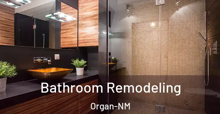 inner Bathroom imggen Bathroom Remodeling Organ-NM