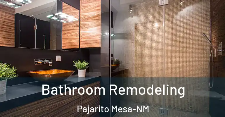 inner Bathroom imggen Bathroom Remodeling Pajarito Mesa-NM