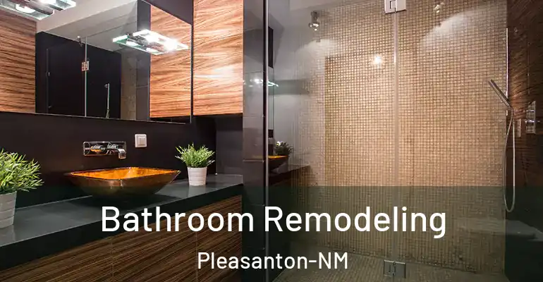 inner Bathroom imggen Bathroom Remodeling Pleasanton-NM