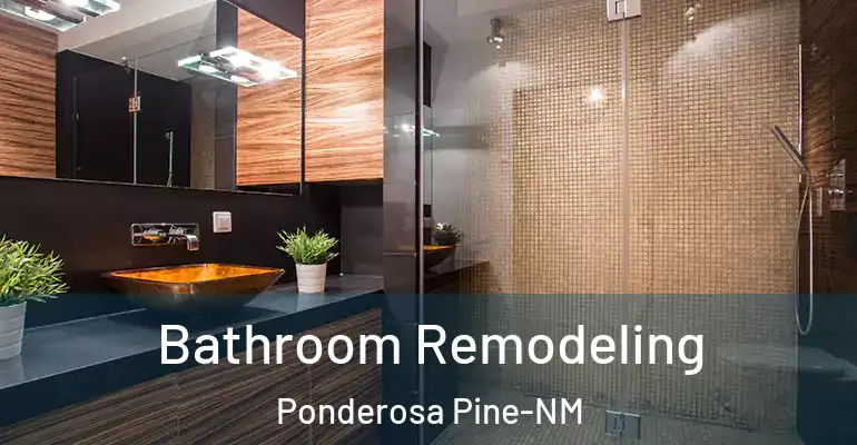 inner Bathroom imggen Bathroom Remodeling Ponderosa Pine-NM