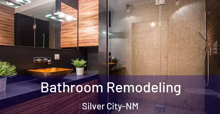 inner Bathroom imggen Bathroom Remodeling Silver City-NM