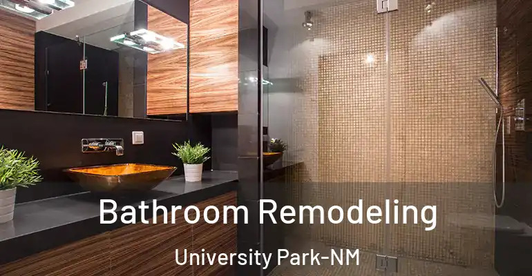 inner Bathroom imggen Bathroom Remodeling University Park-NM