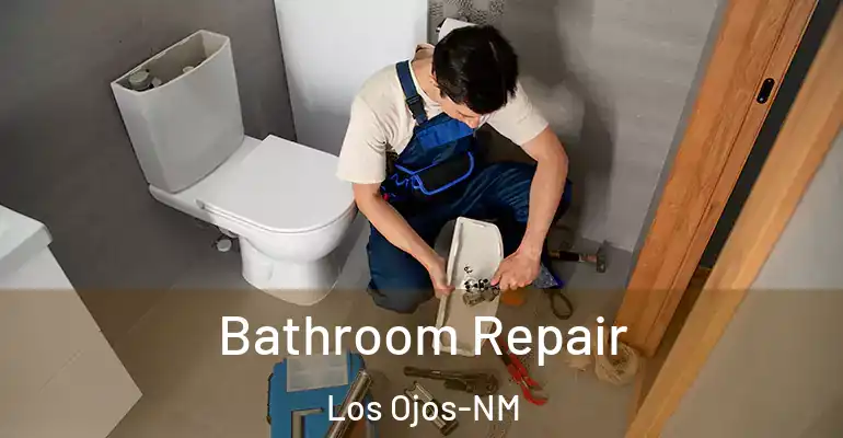 inner Bathroom imggen Bathroom Repair Los Ojos-NM