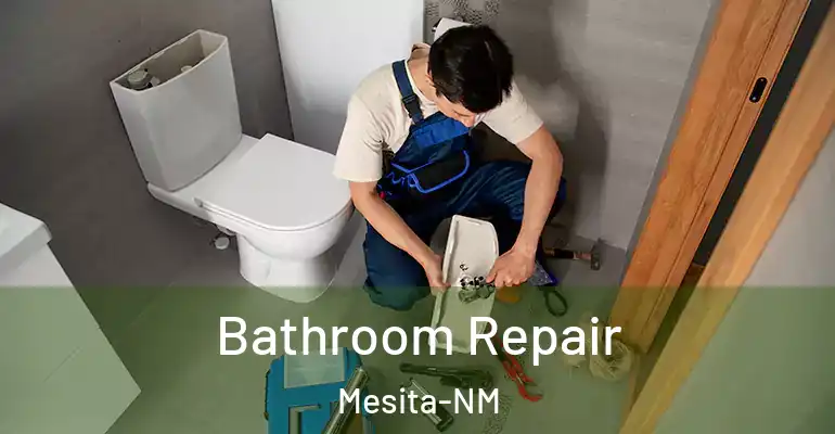 inner Bathroom imggen Bathroom Repair Mesita-NM