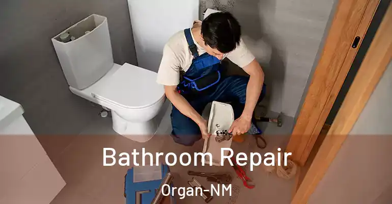 inner Bathroom imggen Bathroom Repair Organ-NM