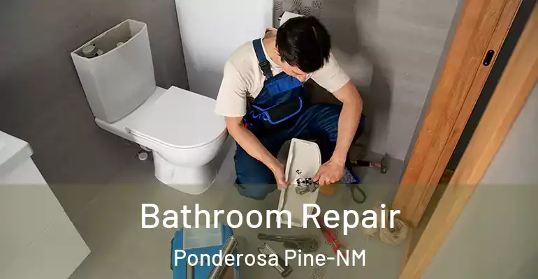 inner Bathroom imggen Bathroom Repair Ponderosa Pine-NM