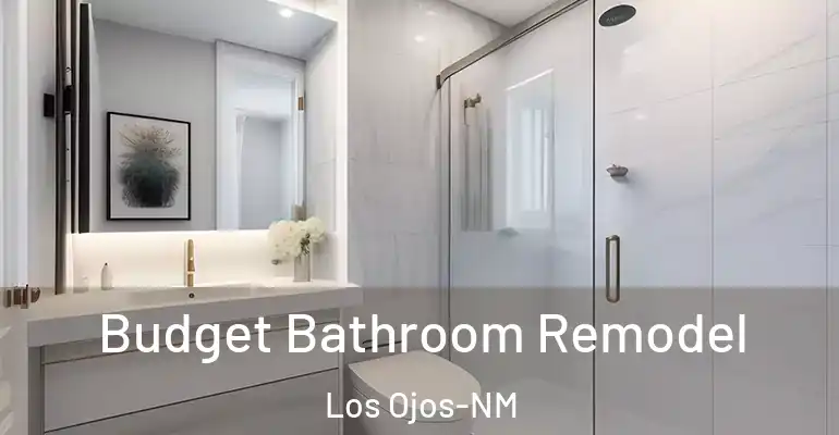 inner Bathroom imggen Budget Bathroom Remodel Los Ojos-NM