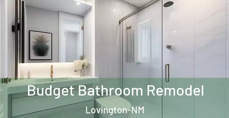 inner Bathroom imggen Budget Bathroom Remodel Lovington-NM
