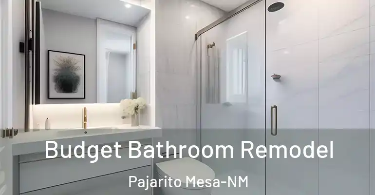 inner Bathroom imggen Budget Bathroom Remodel Pajarito Mesa-NM