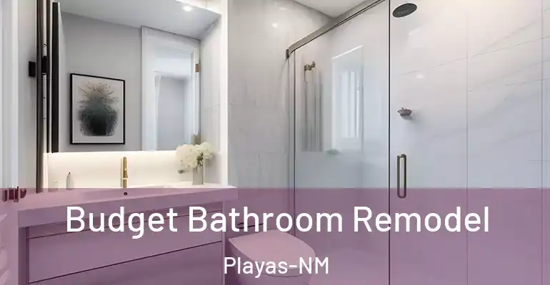 inner Bathroom imggen Budget Bathroom Remodel Playas-NM