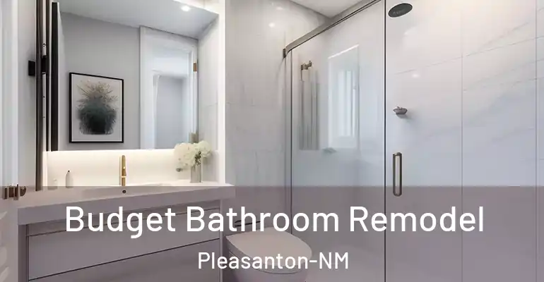 inner Bathroom imggen Budget Bathroom Remodel Pleasanton-NM