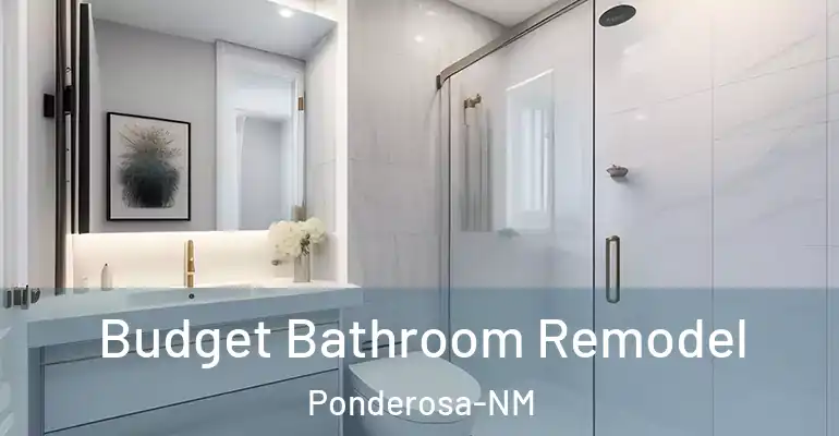 inner Bathroom imggen Budget Bathroom Remodel Ponderosa-NM