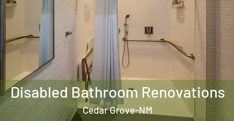 inner Bathroom imggen Disabled Bathroom Renovations Cedar Grove-NM