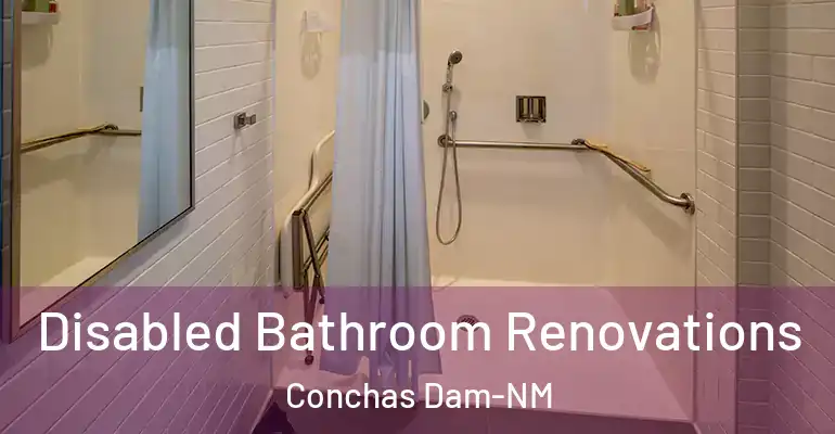 inner Bathroom imggen Disabled Bathroom Renovations Conchas Dam-NM