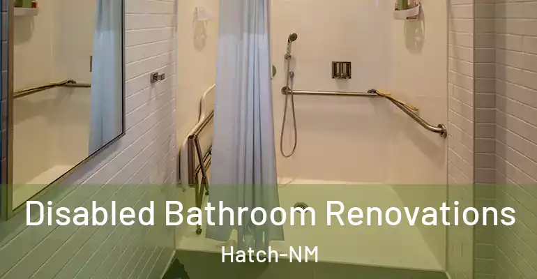 inner Bathroom imggen Disabled Bathroom Renovations Hatch-NM