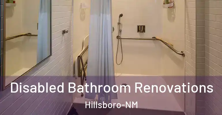 inner Bathroom imggen Disabled Bathroom Renovations Hillsboro-NM