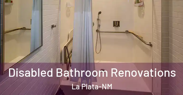 inner Bathroom imggen Disabled Bathroom Renovations La Plata-NM