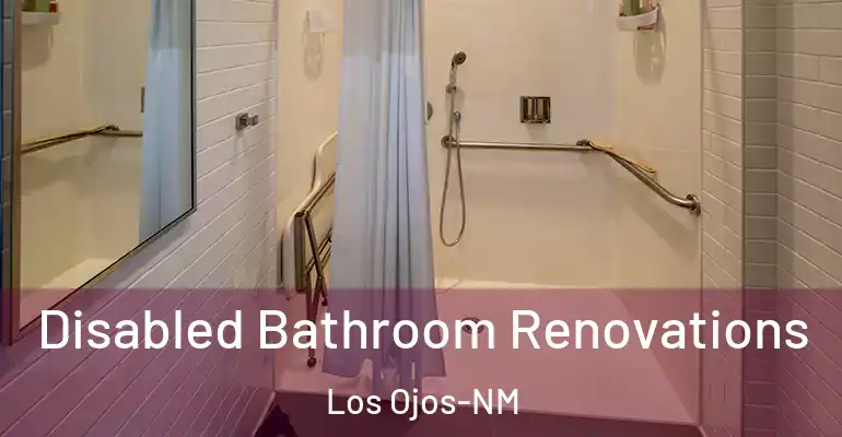 inner Bathroom imggen Disabled Bathroom Renovations Los Ojos-NM
