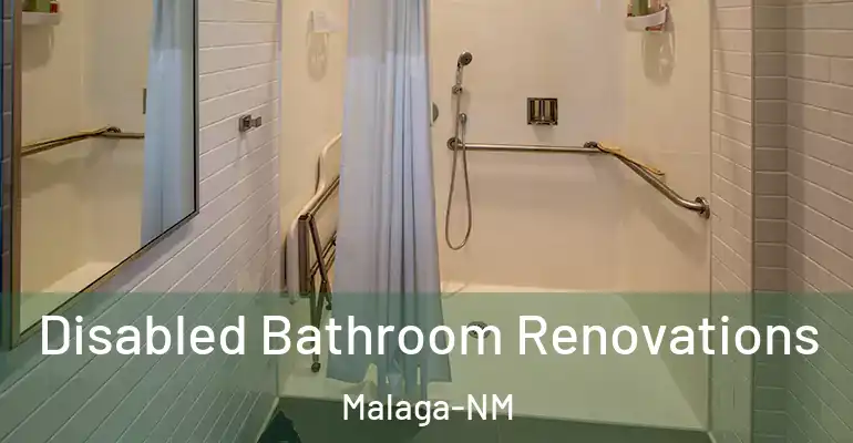 inner Bathroom imggen Disabled Bathroom Renovations Malaga-NM