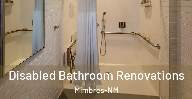 inner Bathroom imggen Disabled Bathroom Renovations Mimbres-NM