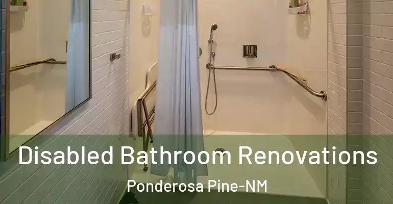 inner Bathroom imggen Disabled Bathroom Renovations Ponderosa Pine-NM