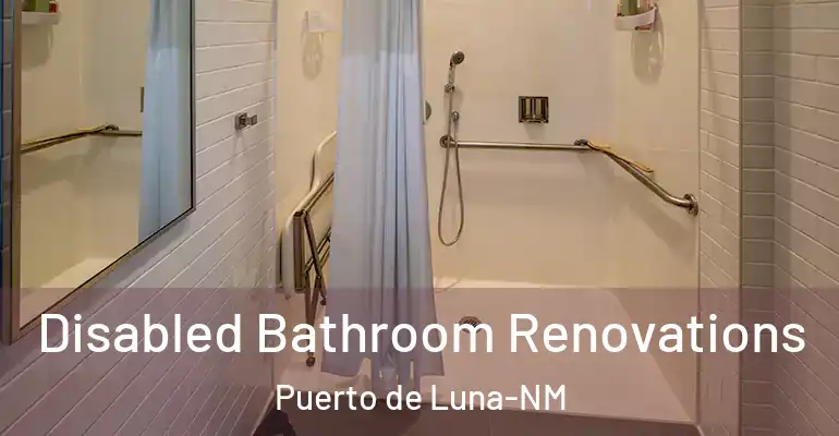 inner Bathroom imggen Disabled Bathroom Renovations Puerto de Luna-NM