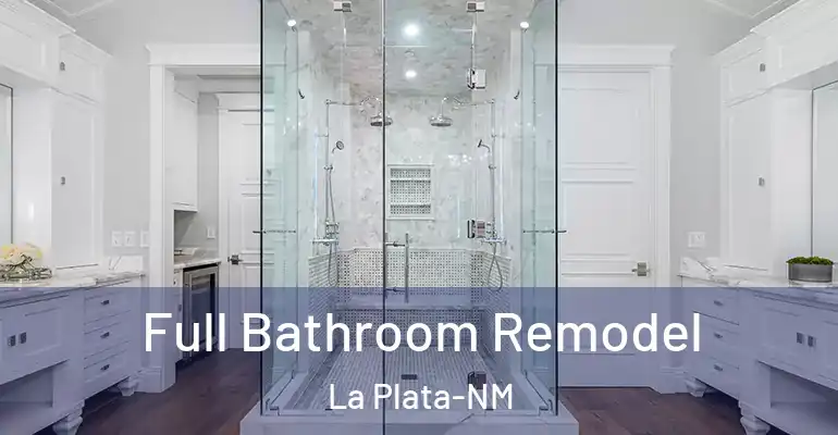 inner Bathroom imggen Full Bathroom Remodel La Plata-NM
