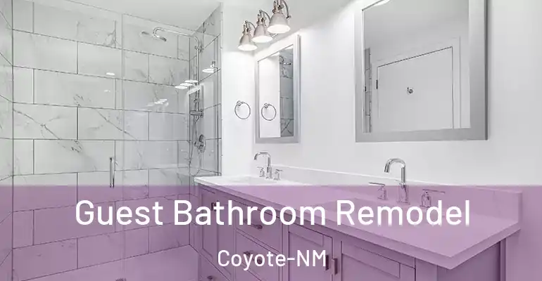 inner Bathroom imggen Guest Bathroom Remodel Coyote-NM