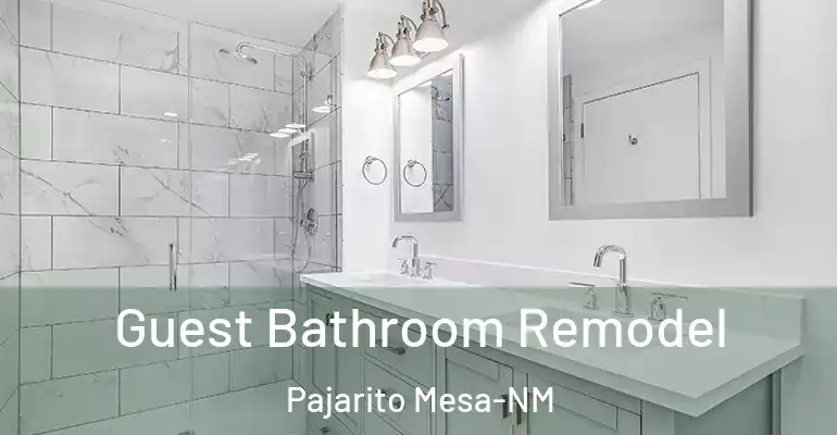 inner Bathroom imggen Guest Bathroom Remodel Pajarito Mesa-NM