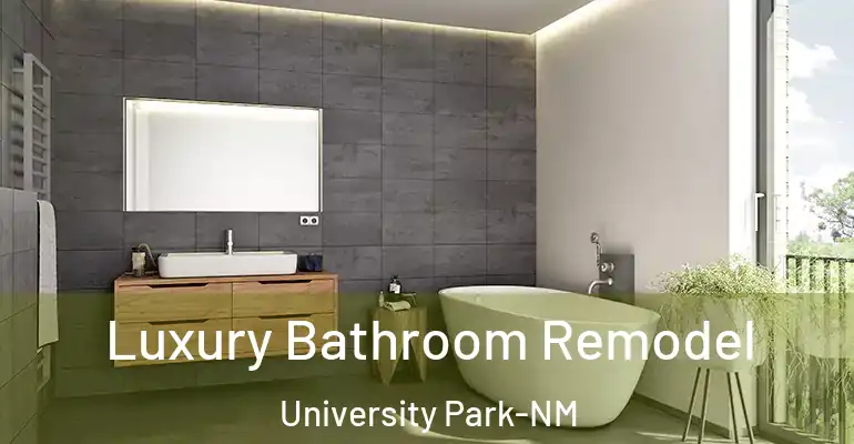 inner Bathroom imggen Luxury Bathroom Remodel University Park-NM