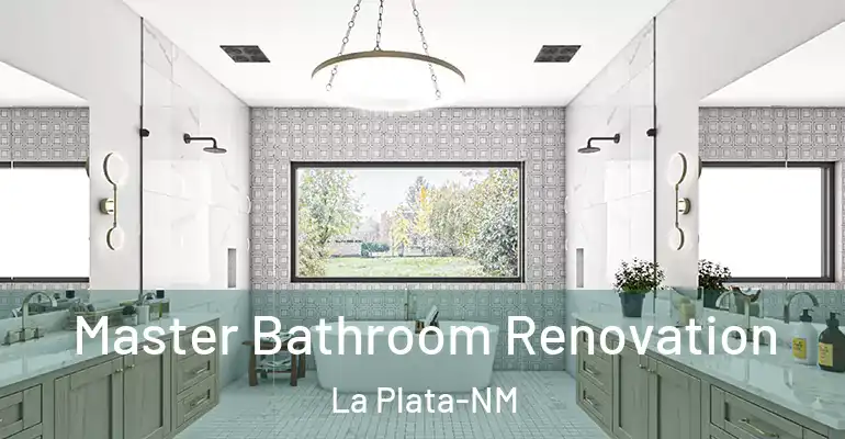 inner Bathroom imggen Master Bathroom Renovation La Plata-NM