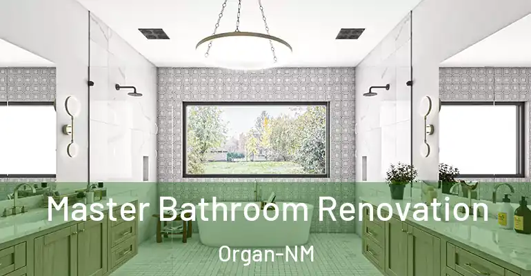 inner Bathroom imggen Master Bathroom Renovation Organ-NM