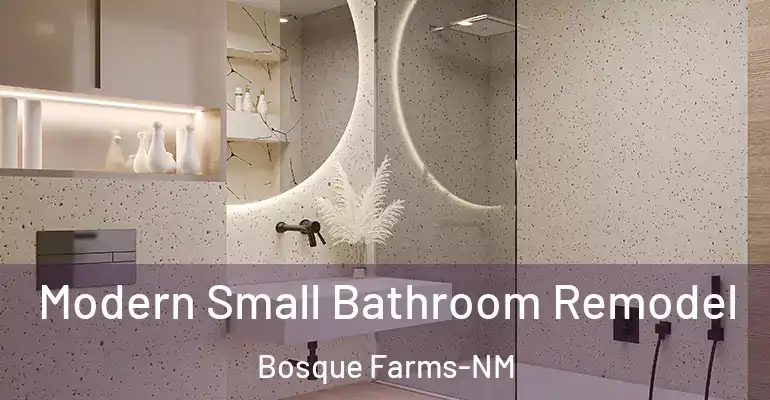 inner Bathroom imggen Modern Small Bathroom Remodel Bosque Farms-NM