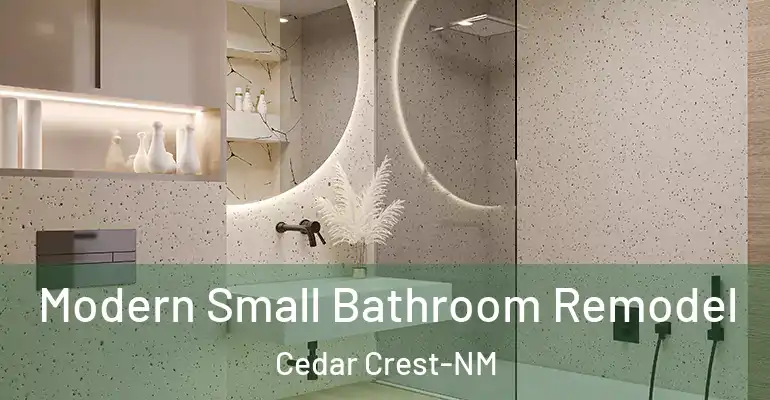 inner Bathroom imggen Modern Small Bathroom Remodel Cedar Crest-NM