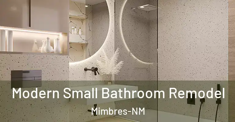 inner Bathroom imggen Modern Small Bathroom Remodel Mimbres-NM
