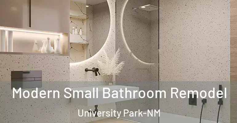 inner Bathroom imggen Modern Small Bathroom Remodel University Park-NM