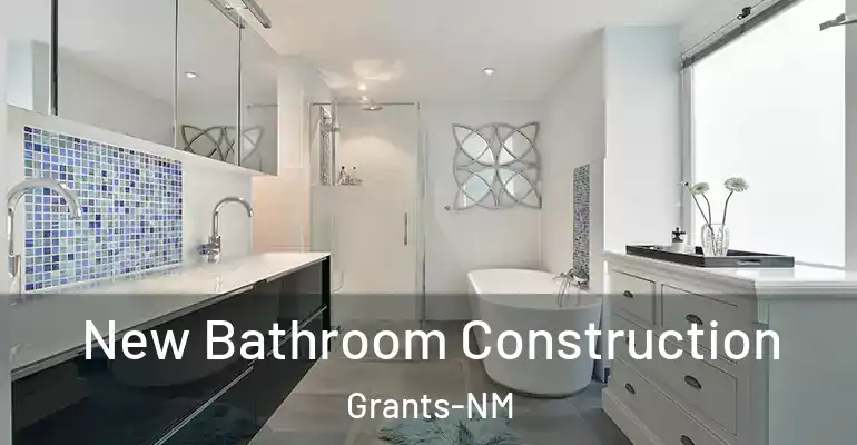 inner Bathroom imggen New Bathroom Construction Grants-NM