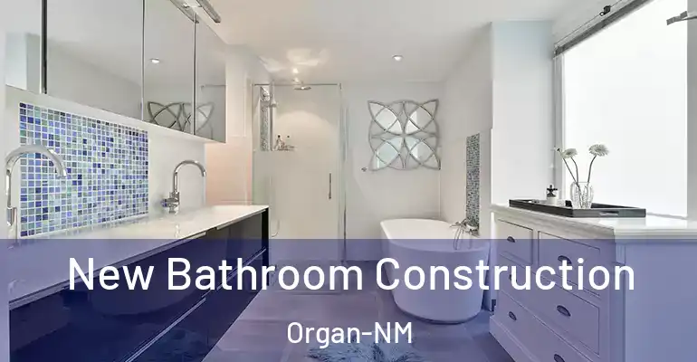 inner Bathroom imggen New Bathroom Construction Organ-NM