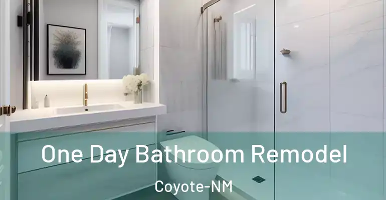 inner Bathroom imggen One Day Bathroom Remodel Coyote-NM