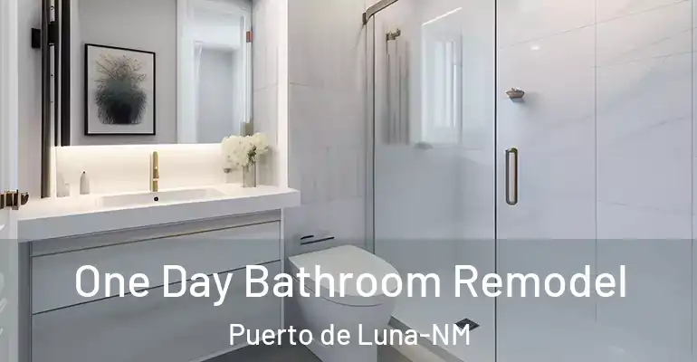 inner Bathroom imggen One Day Bathroom Remodel Puerto de Luna-NM