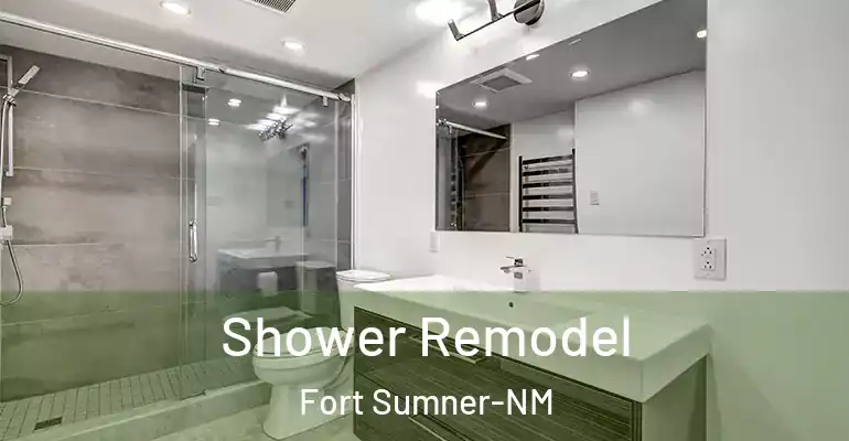 inner Bathroom imggen Shower Remodel Fort Sumner-NM