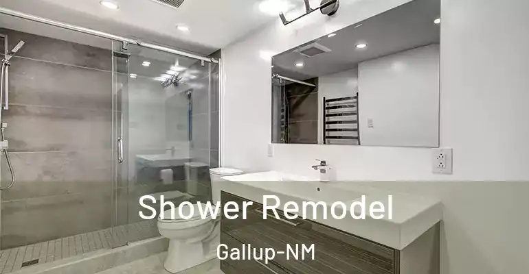 inner Bathroom imggen Shower Remodel Gallup-NM