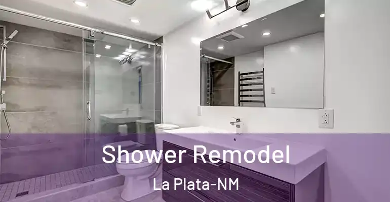 inner Bathroom imggen Shower Remodel La Plata-NM