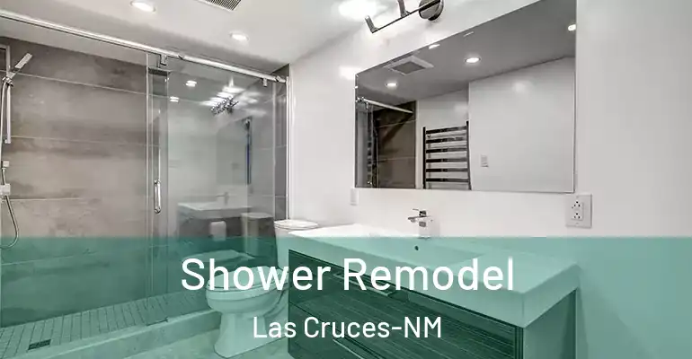 inner Bathroom imggen Shower Remodel Las Cruces-NM