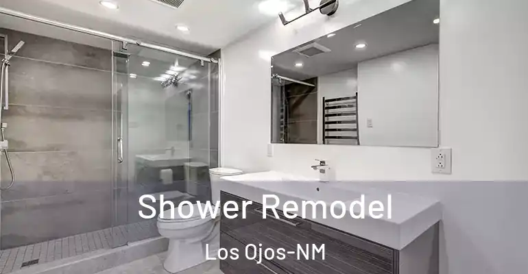 inner Bathroom imggen Shower Remodel Los Ojos-NM