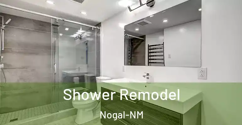 inner Bathroom imggen Shower Remodel Nogal-NM