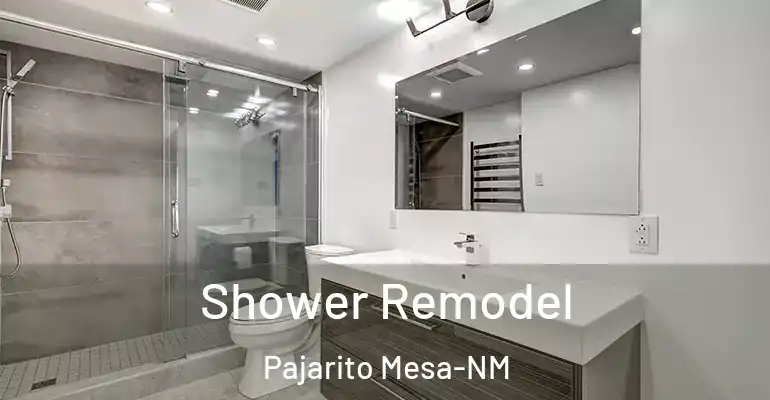 inner Bathroom imggen Shower Remodel Pajarito Mesa-NM
