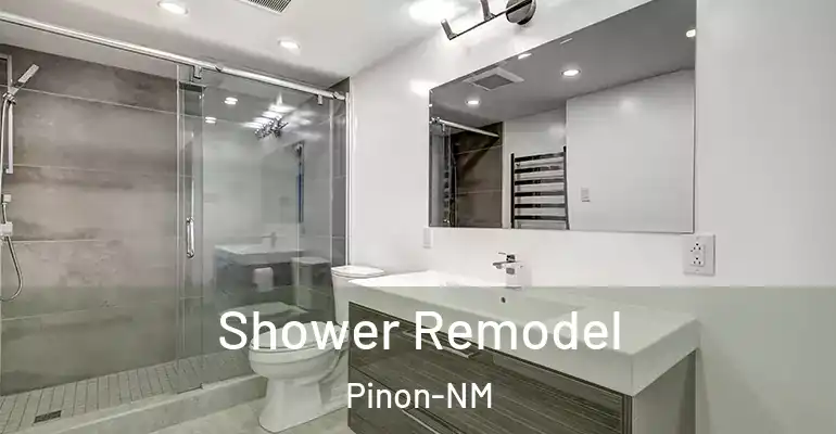 inner Bathroom imggen Shower Remodel Pinon-NM